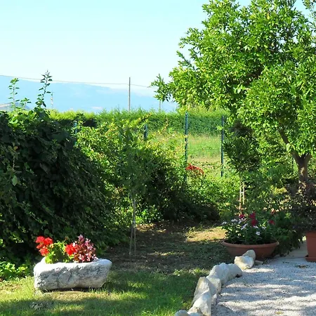 カントリーハウス Domus Aurea *