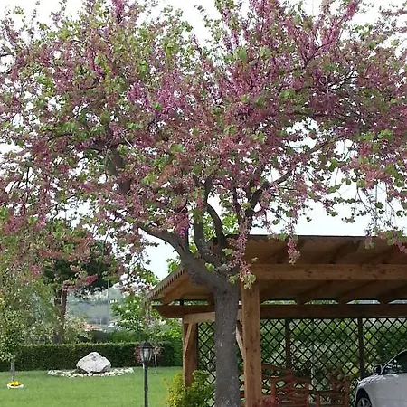 Domus Aurea Lantställe