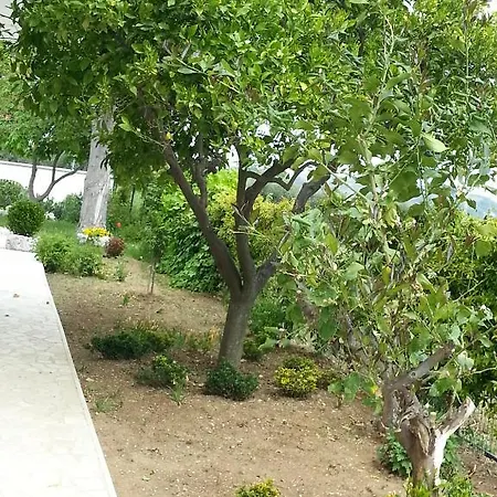 Lantställe Domus Aurea *