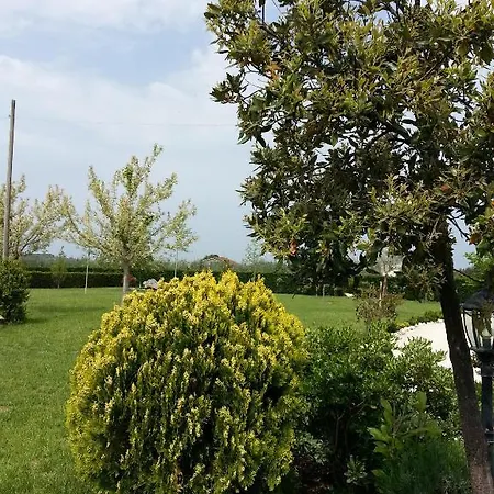 Domus Aurea * Torrevecchia Teatina