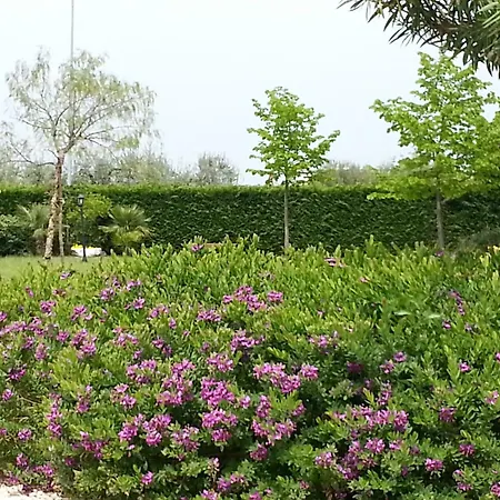 Domus Aurea منزل ريفي Torrevecchia Teatina