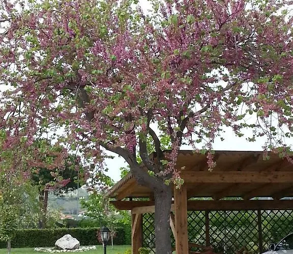 Domus Aurea Country house