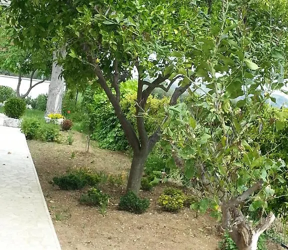 Country house Domus Aurea *